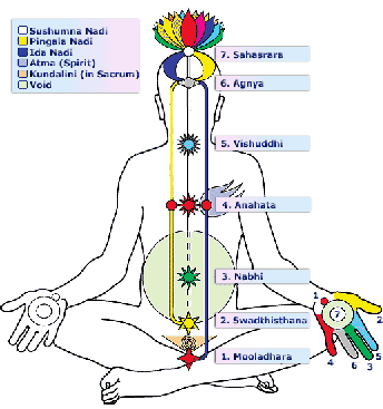 ChakraChartNew