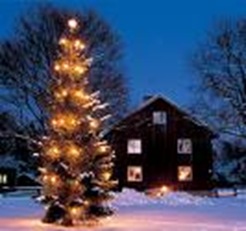 arbol-luz-navidad
