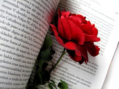 una rosa y un libro por san jorge