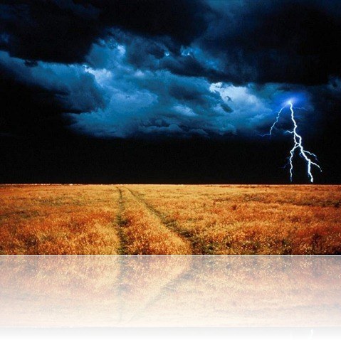 field