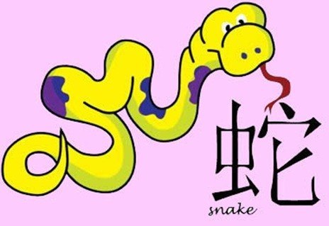 chinese_snake_sign