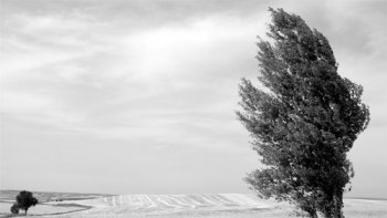 Viento en sueños Viento en sueños