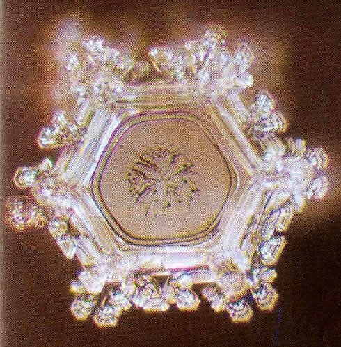 masaru emoto cristalizacion masaru emoto cristalizacion